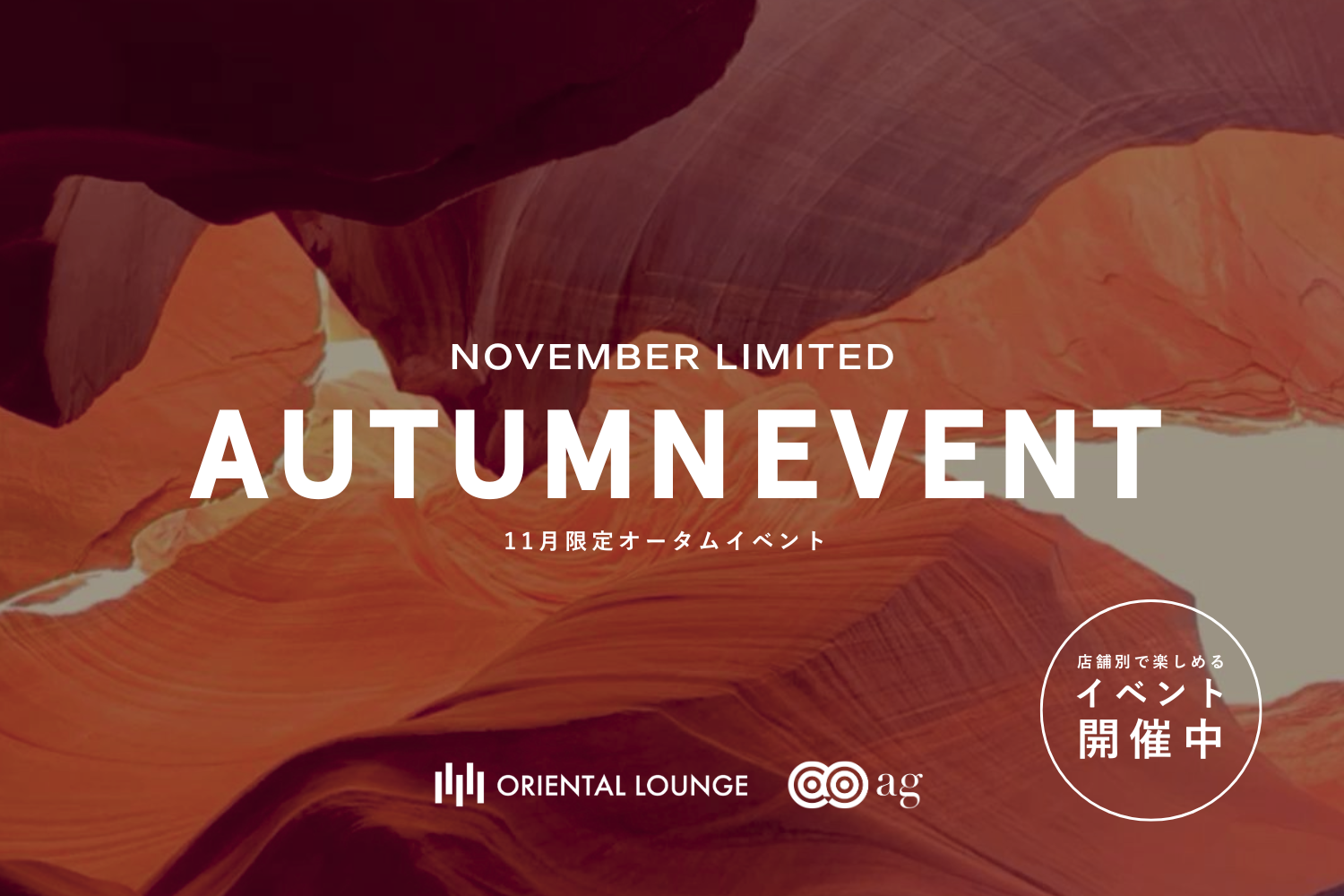 【イベント情報】11月イベントを一挙ご紹介🍁