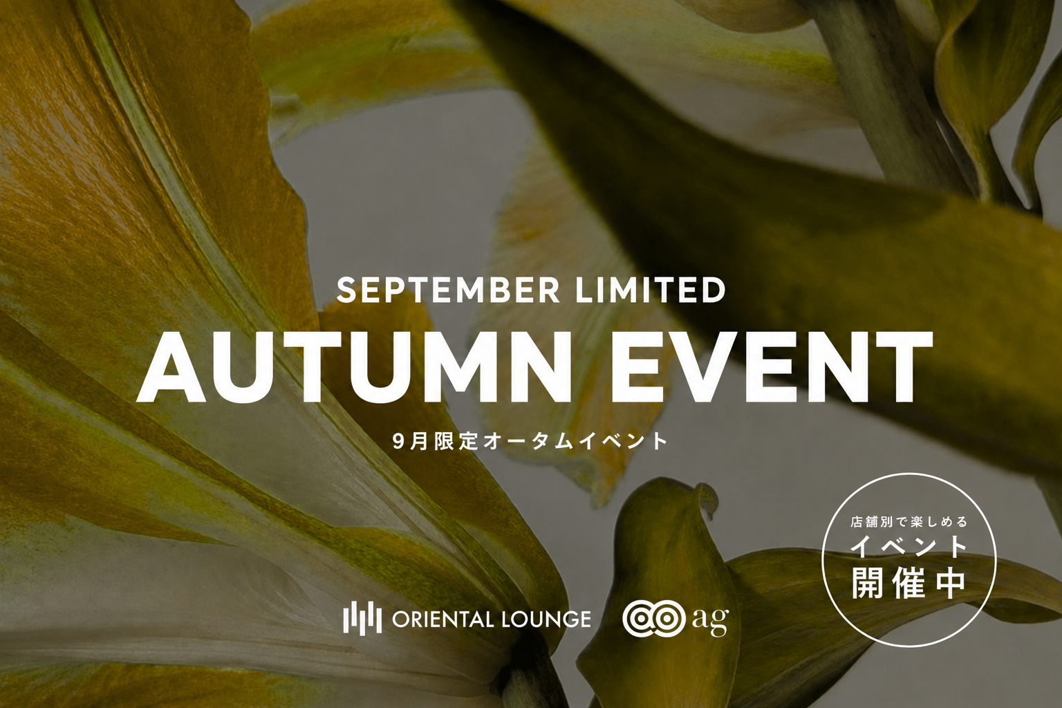 【イベント情報】9月イベントを一挙ご紹介🍁